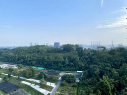 Normanton Park (D5), Apartment #468079451